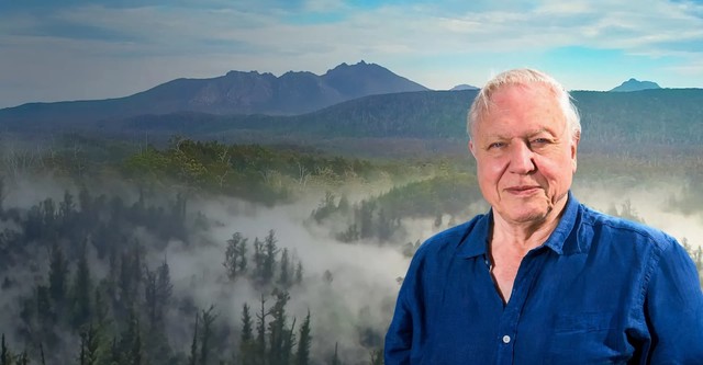 David Attenborough's Tasmania