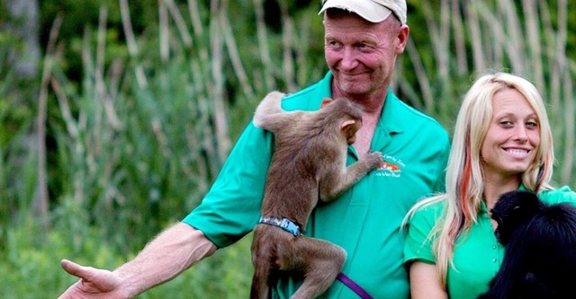 My Life Is a Zoo