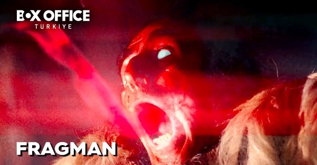 O Livro das Forças Malditas