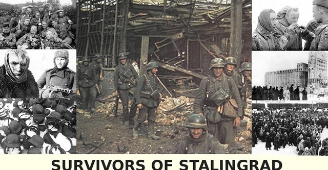 Survivors of Stalingrad