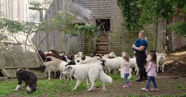 La famille est dans le pré