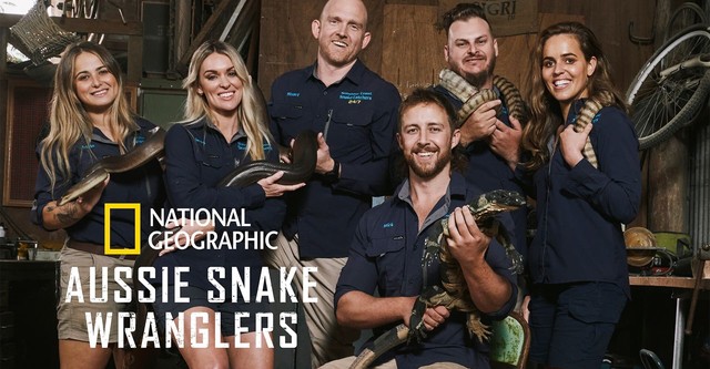 Snake Security - Schlangenalarm in Australien