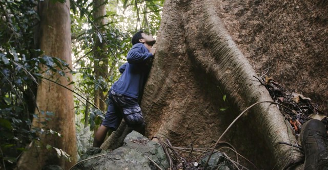 Philippines, sauver la forêt au péril de sa vie