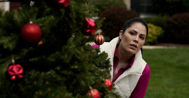 The Christmas Thief - Herz & Verbrechen: Ein festlicher Fall
