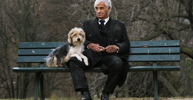 Un homme et son chien