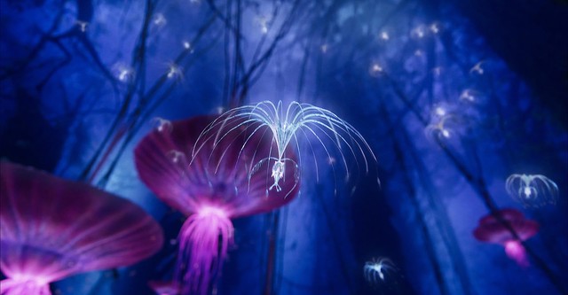 Avatar: Creating the World of Pandora