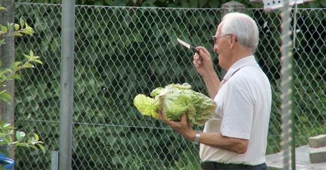 Father's Garden: The Love of My Parents