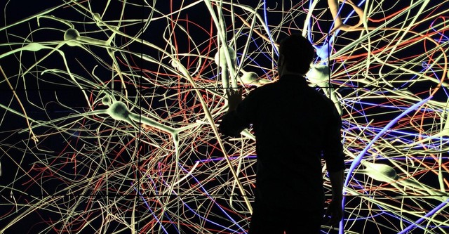 El cerebro con David Eagleman