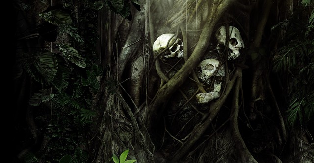 Secrets in the Jungle