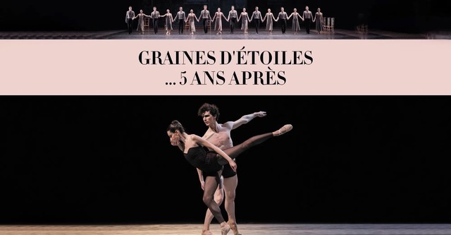 Graines d'étoiles