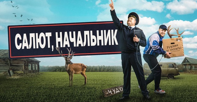 Салют, начальник