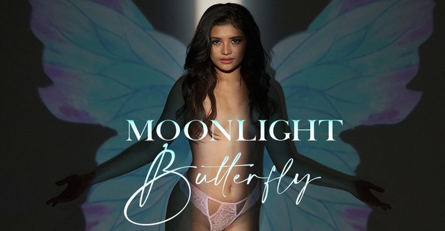 Moonlight Butterfly