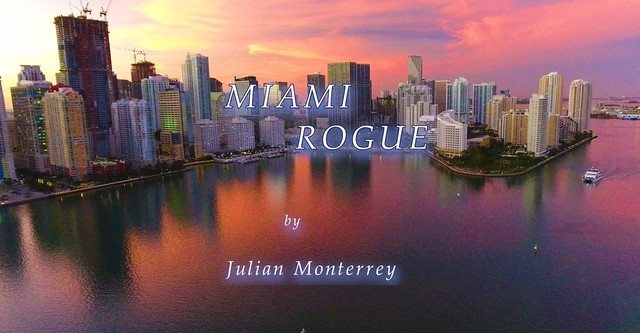 Miami Rogue