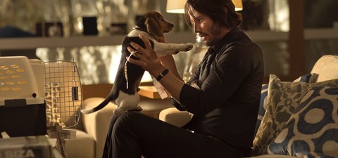 „John Wick“: Alle Filme und die Serie in chronologischer Reihenfolge – und wo es sie zu sehen gibt