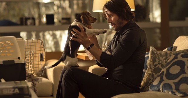 John Wick streaming: where to watch movie online?