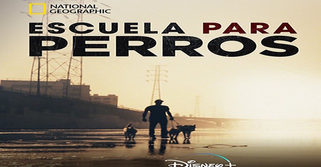 Escuela para perros