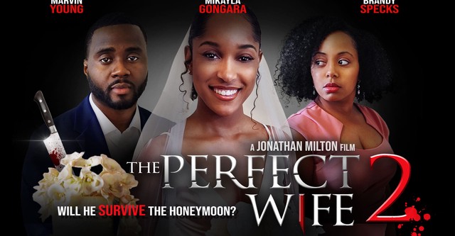 The Perfect Wife 2