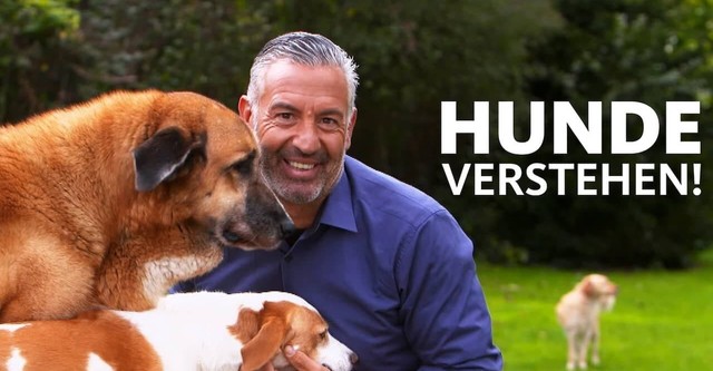 Hunde verstehen!