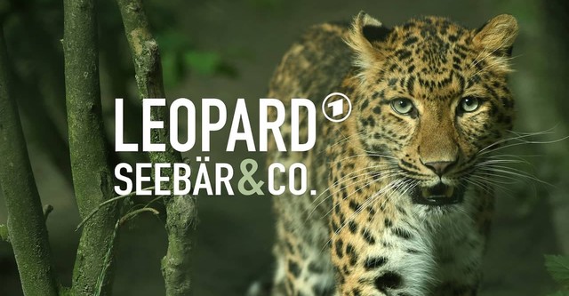 Leopard, Seebär & Co.