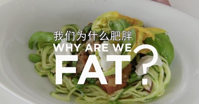 Why Are We Fat?