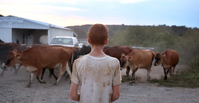 Farmsteaders