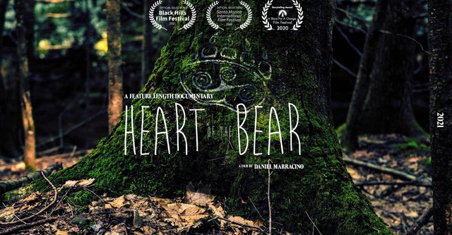 Heart of the Bear