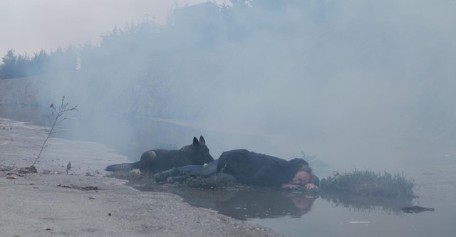 Neden Tarkovski Olamıyorum...