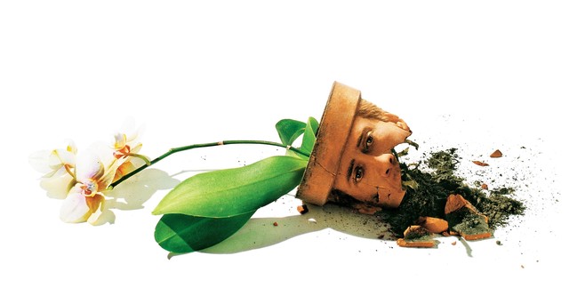 Adaption - Der Orchideen-Dieb