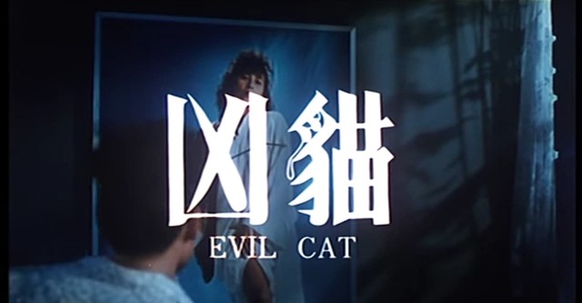 Evil Cat