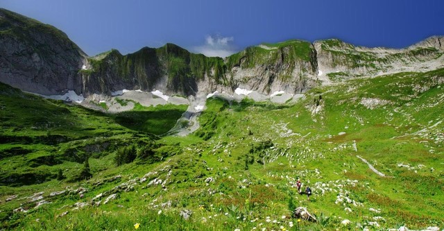 Wild Switzerland