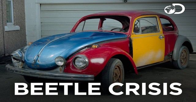 Beetle Crisis