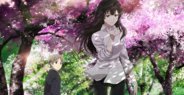 Beautiful Bones: Sakurako’s Investigation