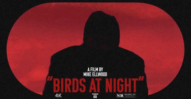 Birds at Night