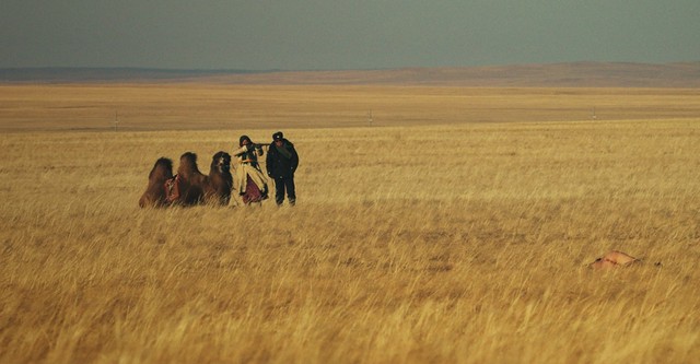 La Femme des steppes, le flic et l'oeuf