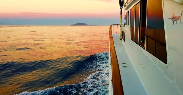 Inside Sportfishing: On the Edge