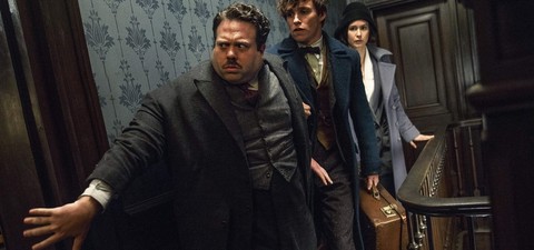 Come guardare in ordine tutti i film della saga di ‘Harry Potter’ e degli ‘Animali Fantastici’