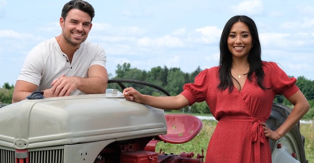 Romance à la ferme