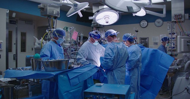 The Mayo Clinic