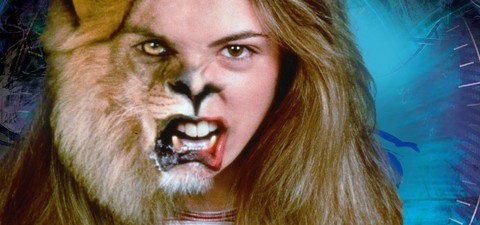 How To Watch 'Animorphs' In Order