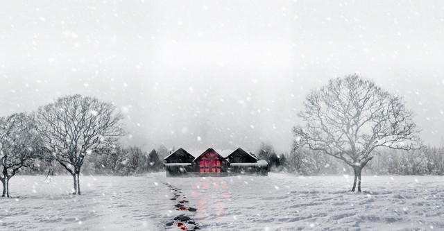 Snow Falls streaming: where to watch movie online? - Main Image