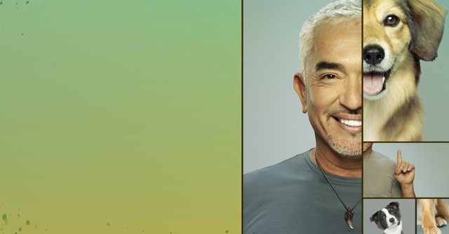 Cesar Millan: Guter Mensch guter Hund