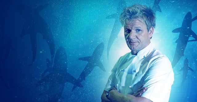 Gordon Ramsay: Shark Bait