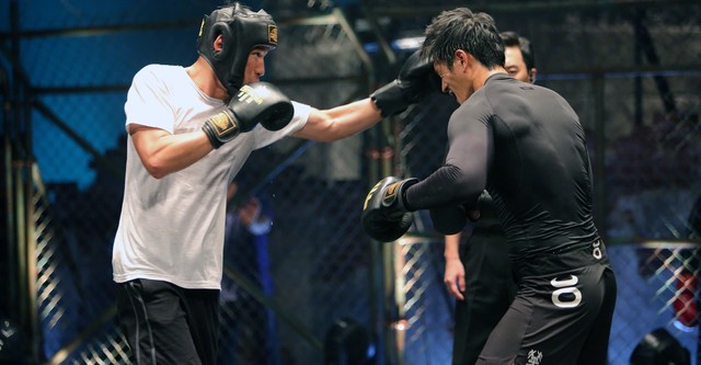 フィスト・オブ・レジェンド 精武英雄 フィスト・オブ・レジェンド韓国版激レア フィスト・オブ・レジェンド 精武英雄 フィスト・オブ