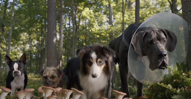 Doggy Style - Dieser Sommer kommt von hinten