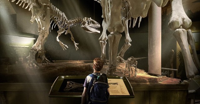 Jurassic Pet
