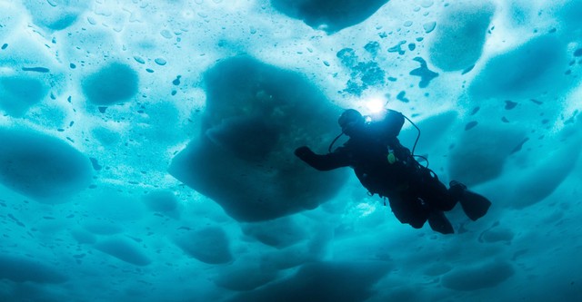 La pesca del oro:Bajo el hielo