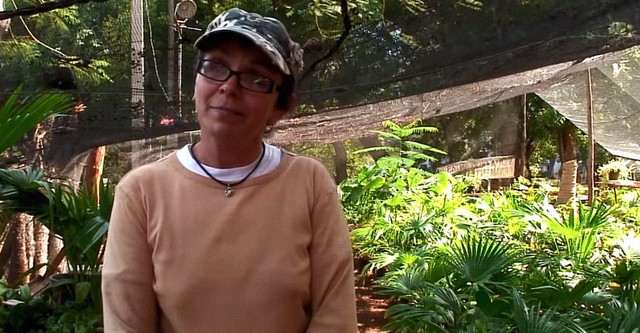 Agroecology In Cuba