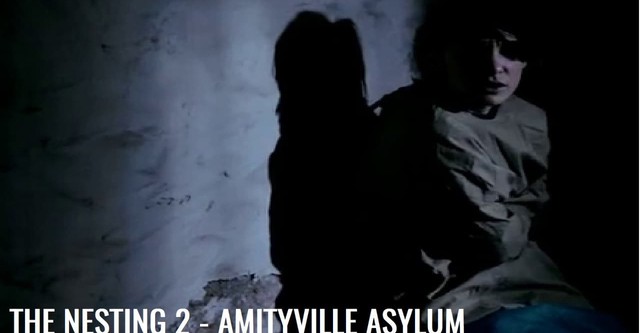 The Amityville Asylum