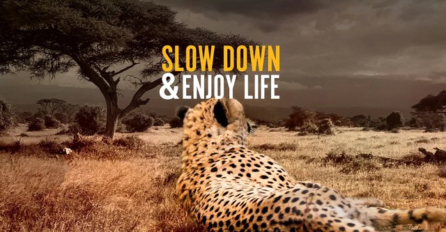 Slow Down and Enjoy Life