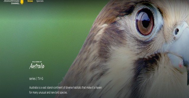 Wild Birds of Australia